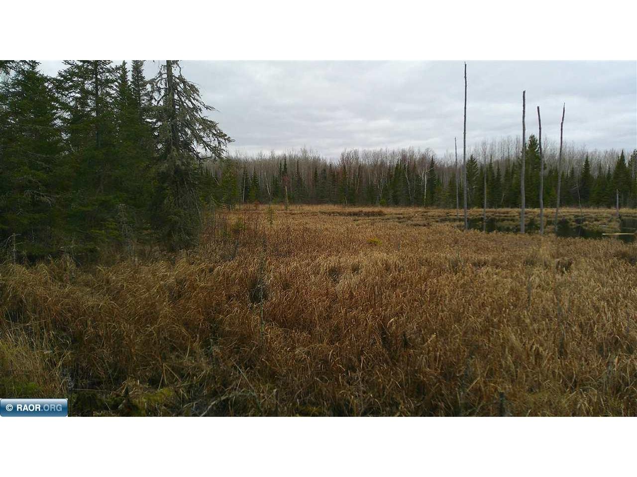 TBD Parcel 15 Hwy 115 Tower MN 55790 149894 image2