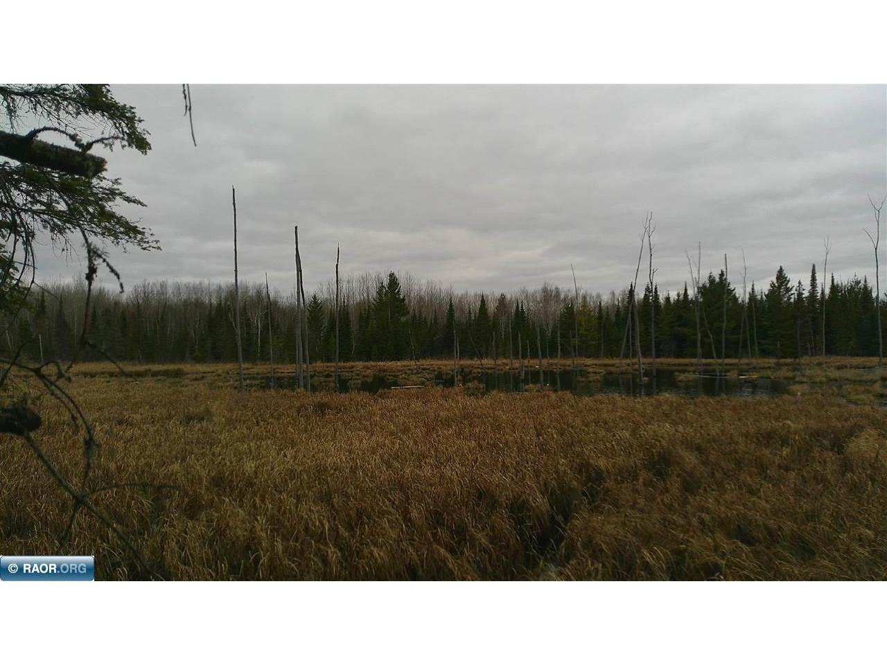 TBD Parcel 15 Hwy 115 Tower MN 55790 149894 image3
