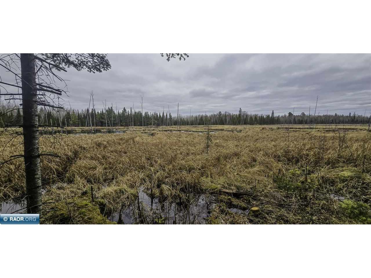 TBD Parcel 15 Hwy 115 Tower MN 55790 149894 image4
