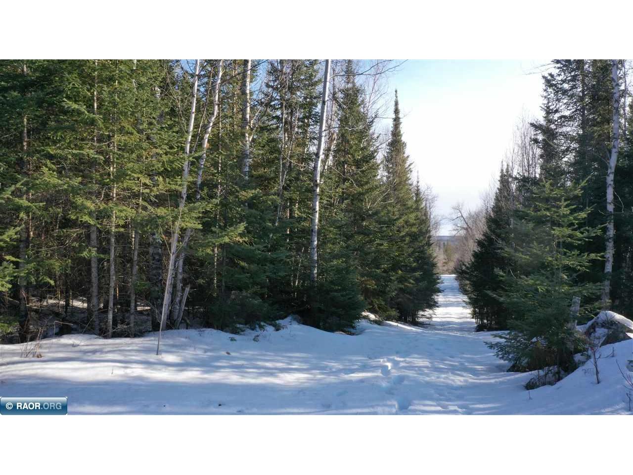 TBD Parcel 17 Hwy 115 Tower MN 55790 149602 image7