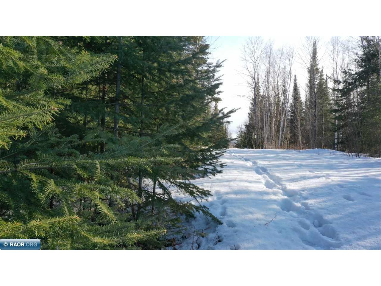 TBD Parcel 17 Hwy 115 Tower MN 55790 149602 image8