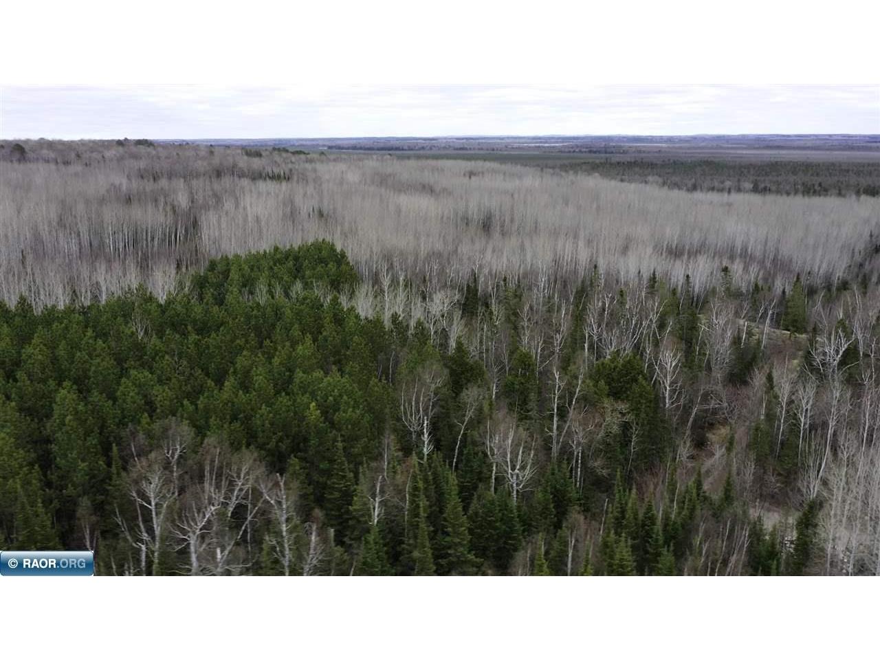 TBD Parcel 19 Hwy 115 Tower MN 55790 149899 image8