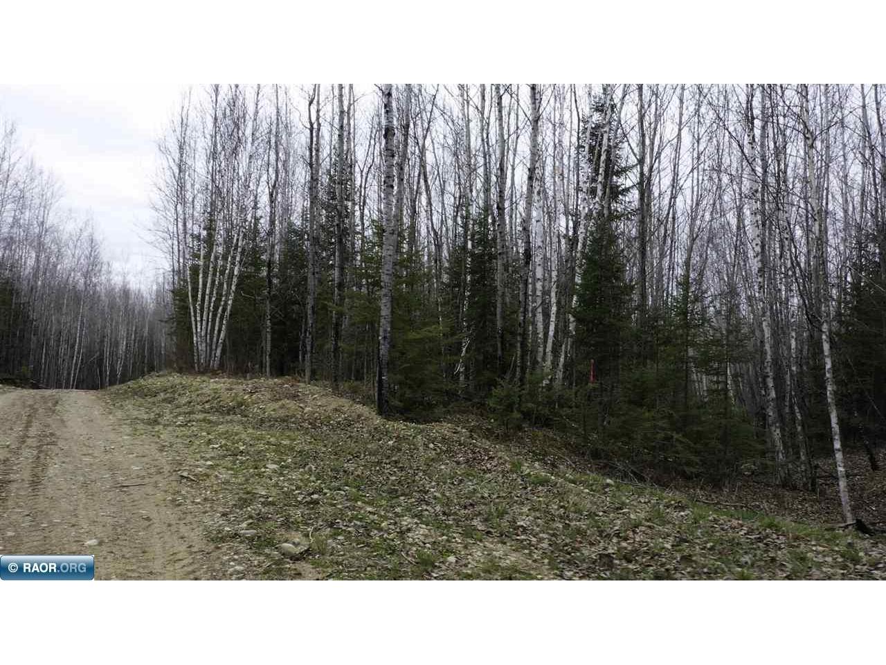 TBD Parcel 20 Hwy 115 Tower MN 55790 149900 image2