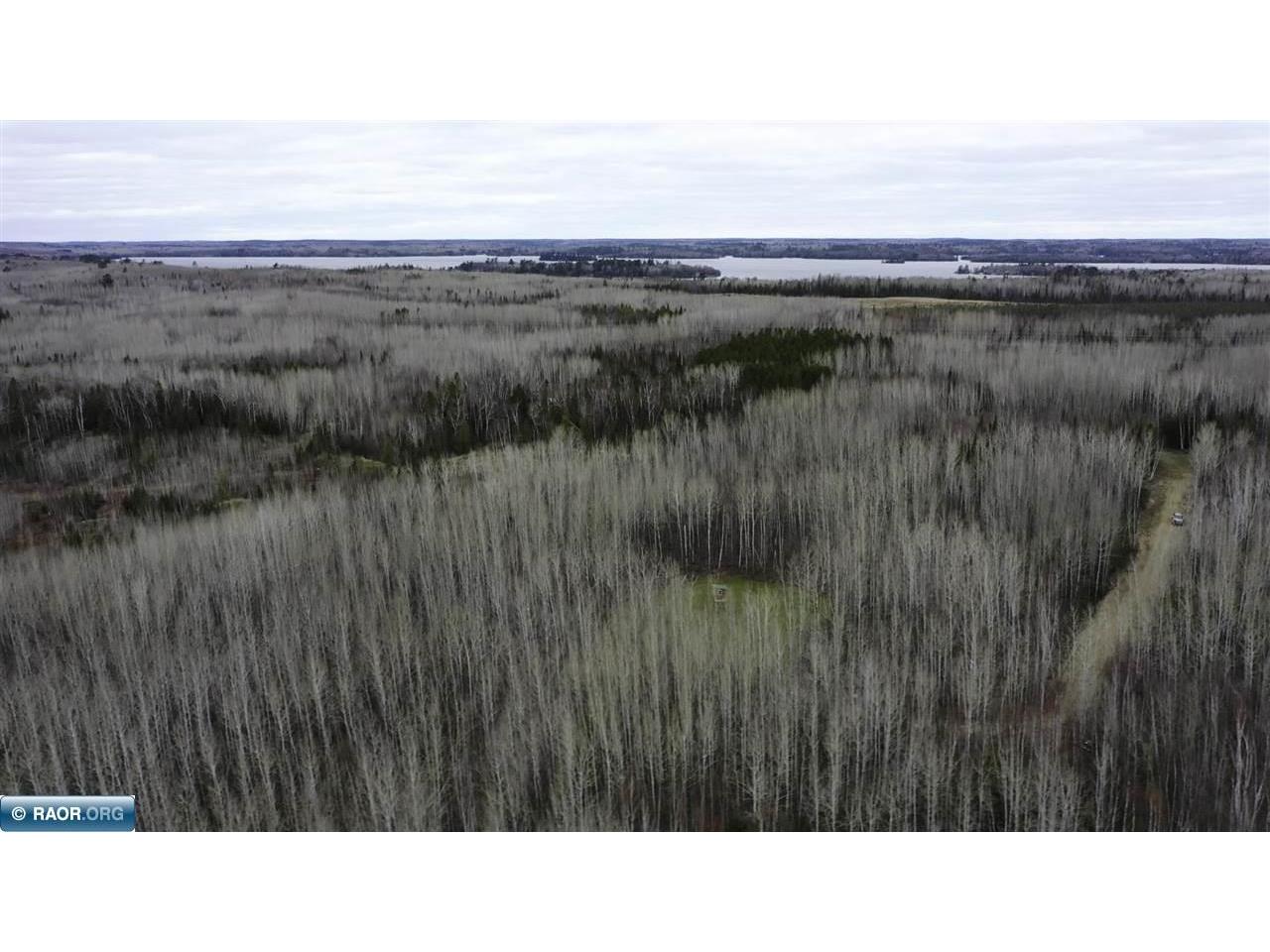 TBD Parcel 20 Hwy 115 Tower MN 55790 149900 image3