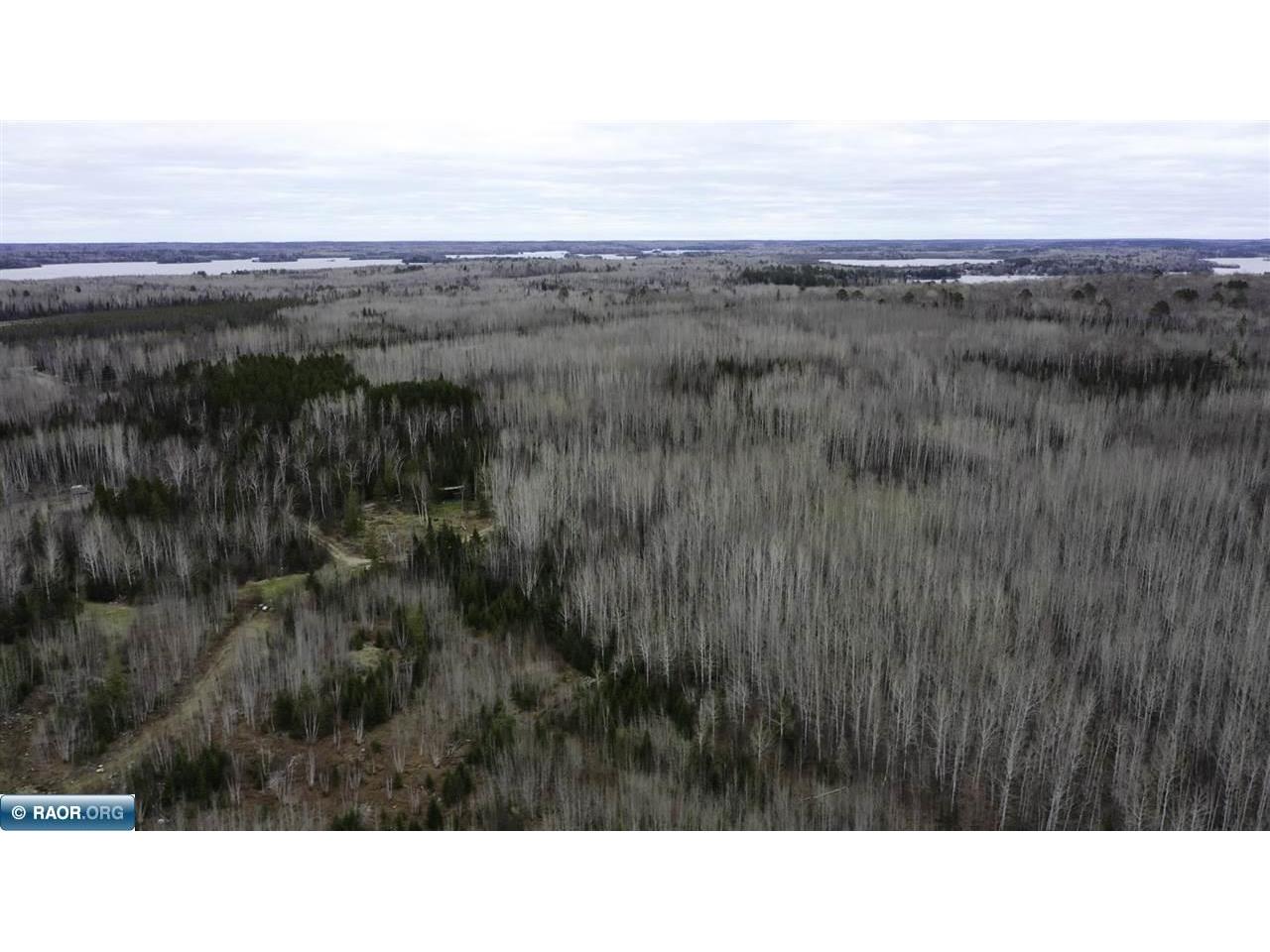 TBD Parcel 20 Hwy 115 Tower MN 55790 149900 image4