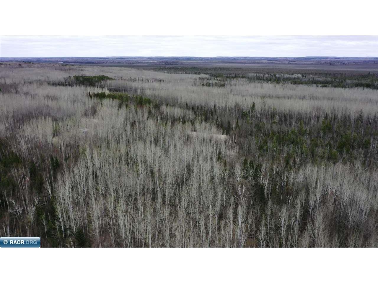 TBD Parcel 20 Hwy 115 Tower MN 55790 149900 image5