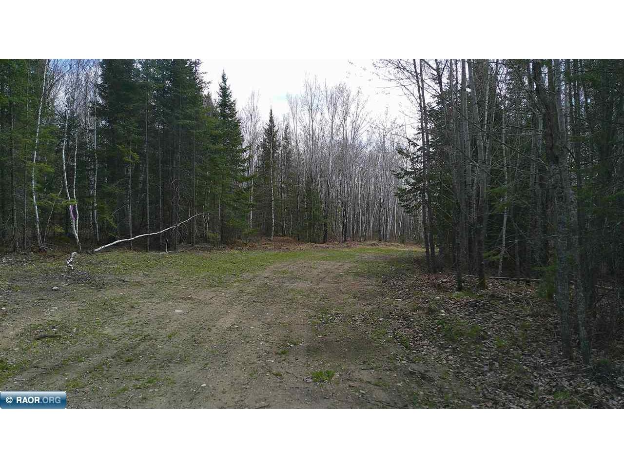 TBD Parcel 20 Hwy 115 Tower MN 55790 149900 image6