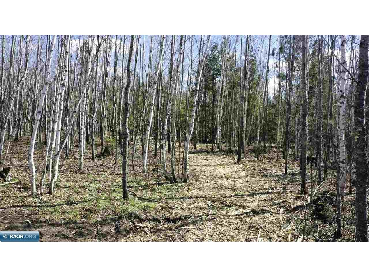 TBD Parcel F Frazer Bay Rd. Cook MN 55723 149883 image2