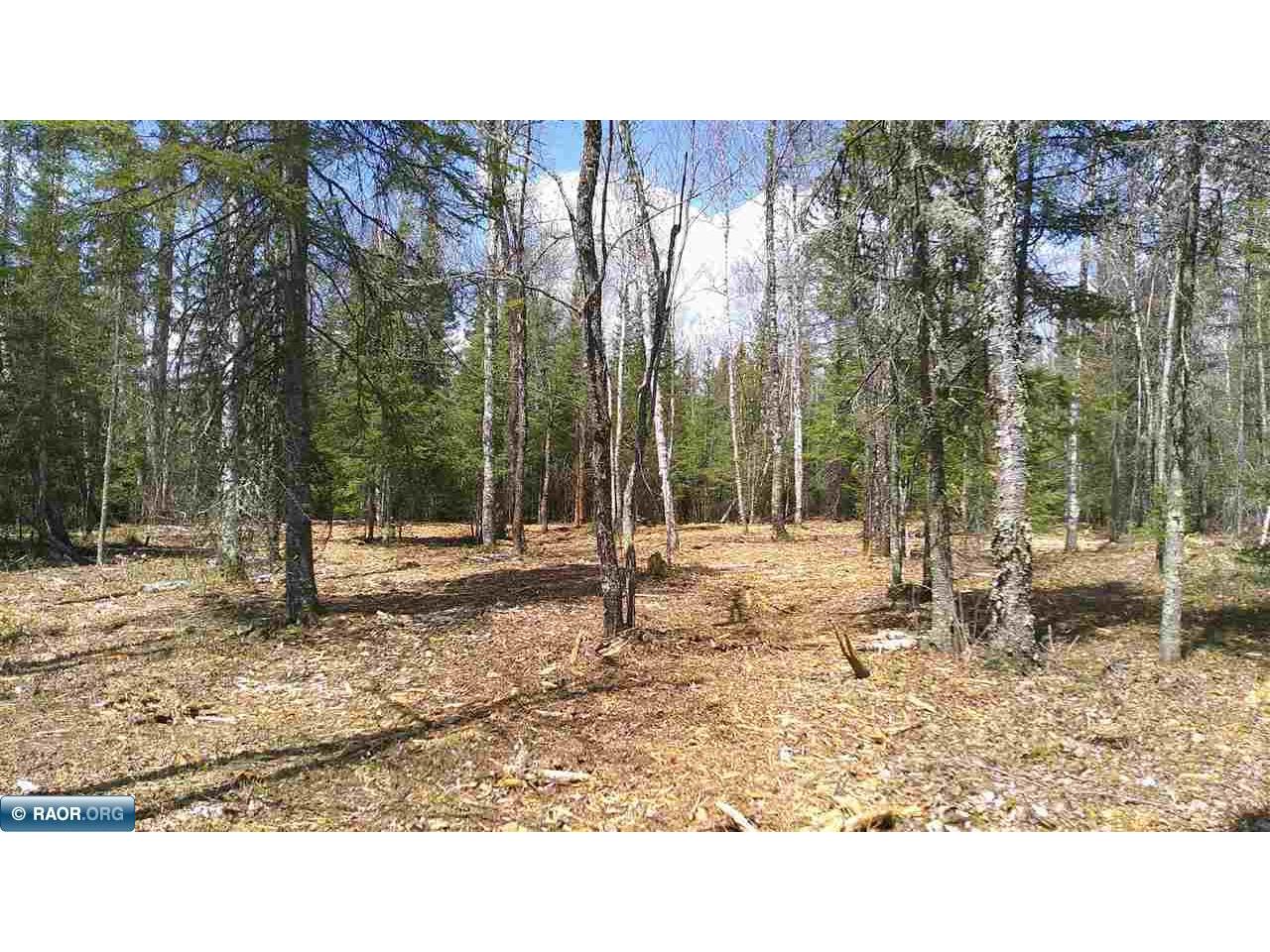 TBD Parcel G Frazer Bay Rd. Cook MN 55723 149885 image2
