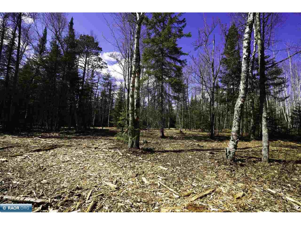 TBD Parcel G Frazer Bay Rd. Cook MN 55723 149885 image3