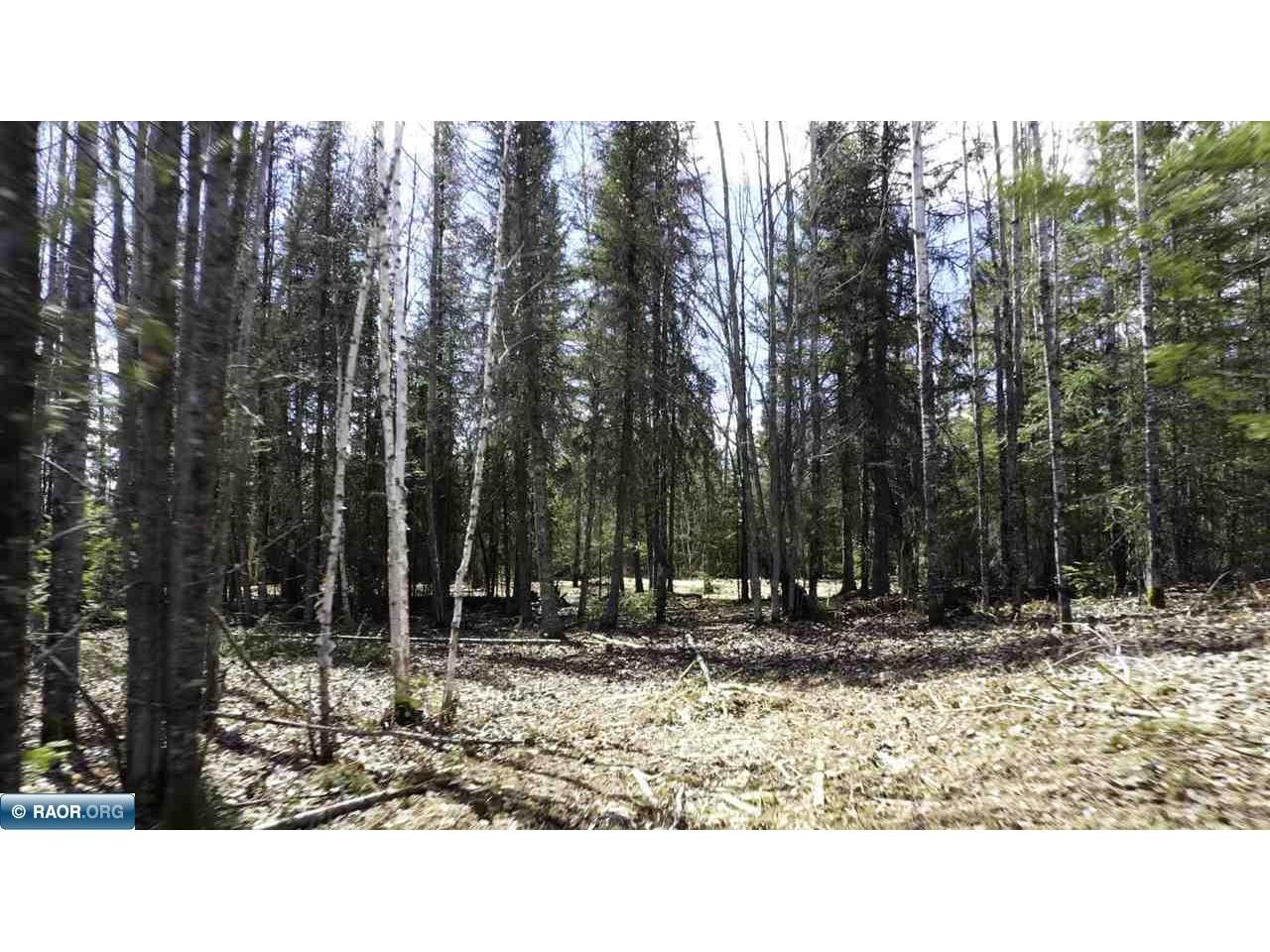 TBD Parcel I Frazer Bay Rd. Cook MN 55723 149886 image4