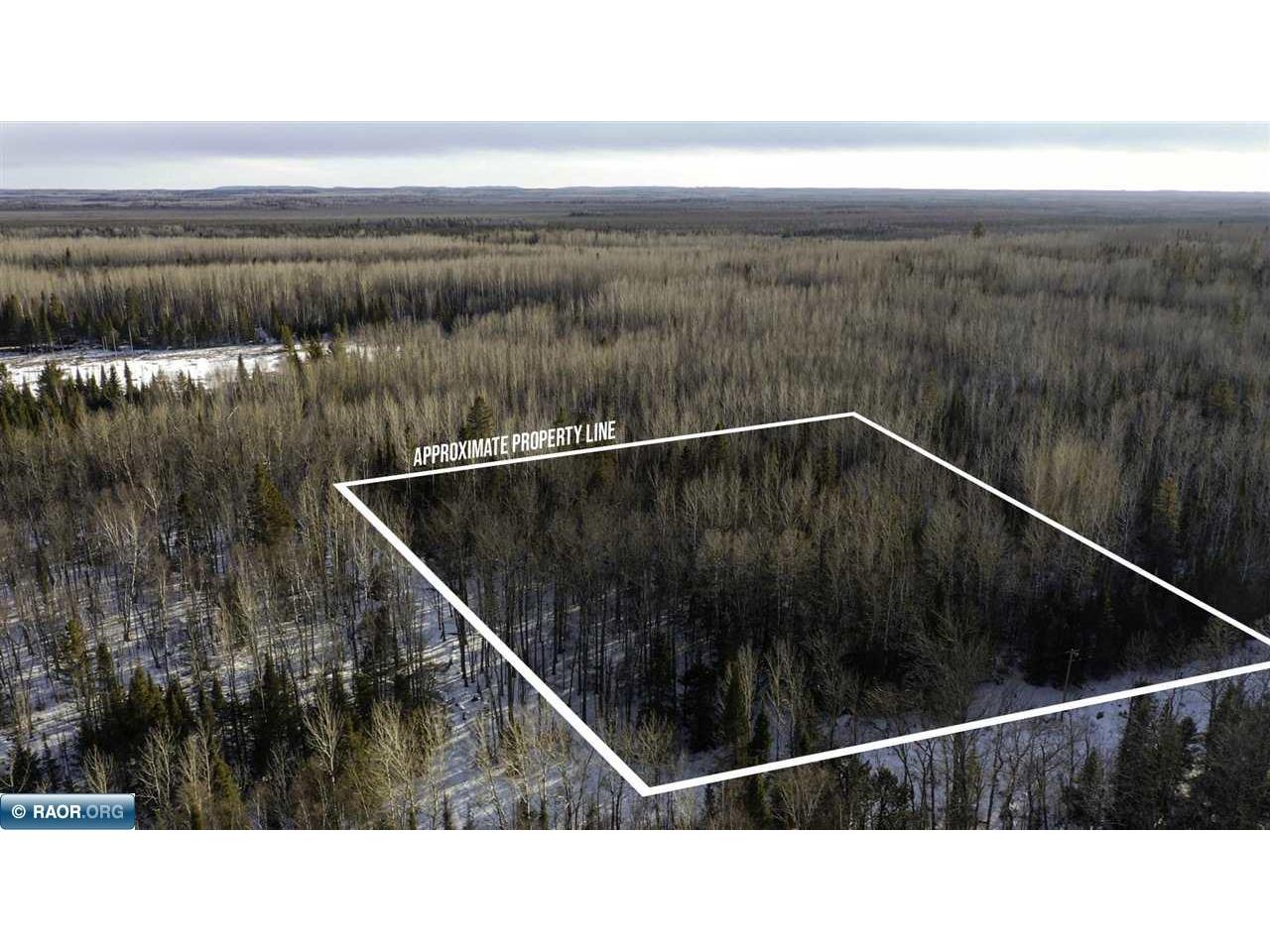 TBD Parcel S Thomas Rd. Tower MN 55790 149603 image1