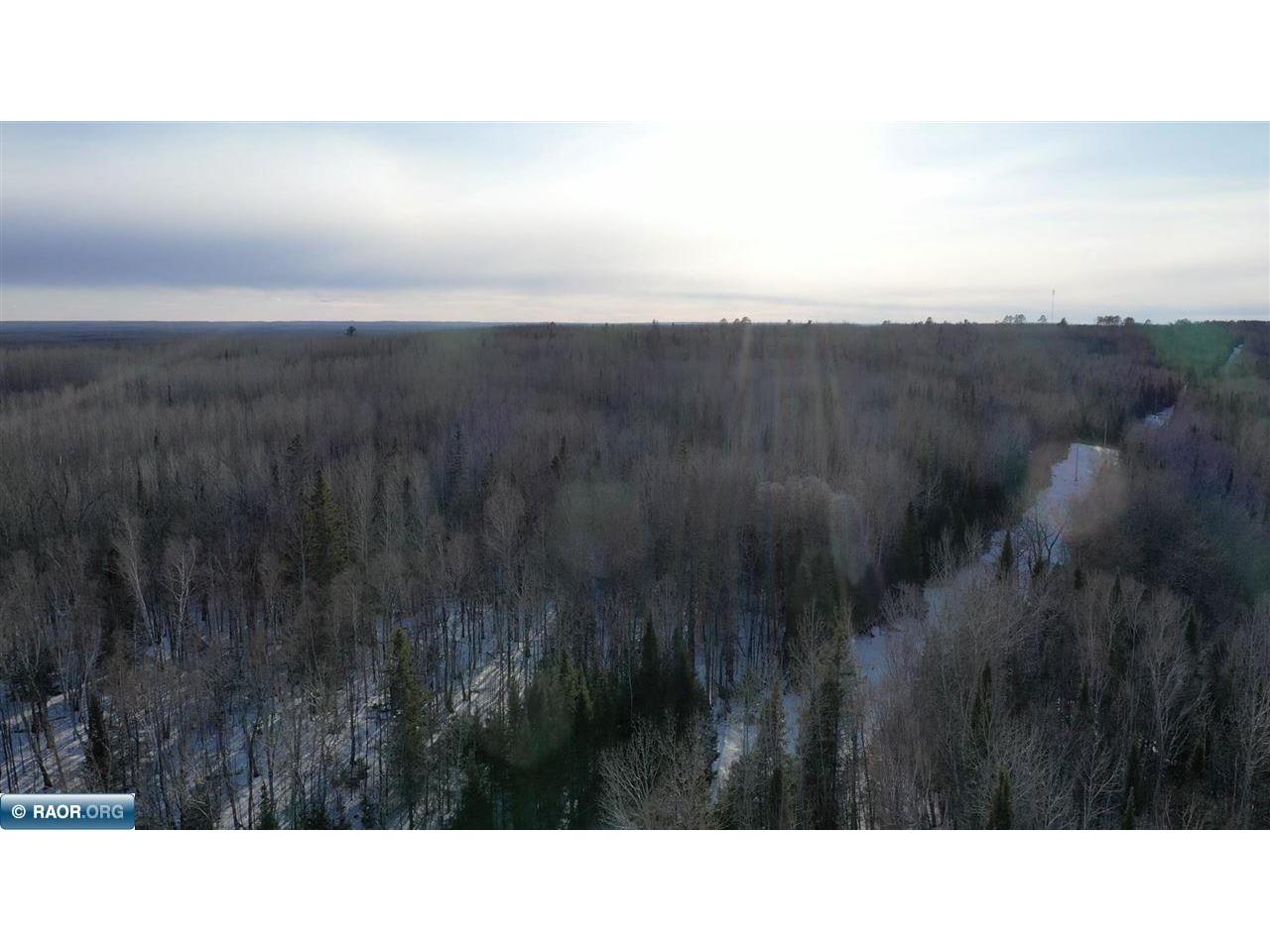 TBD Parcel S Thomas Rd. Tower MN 55790 149603 image11