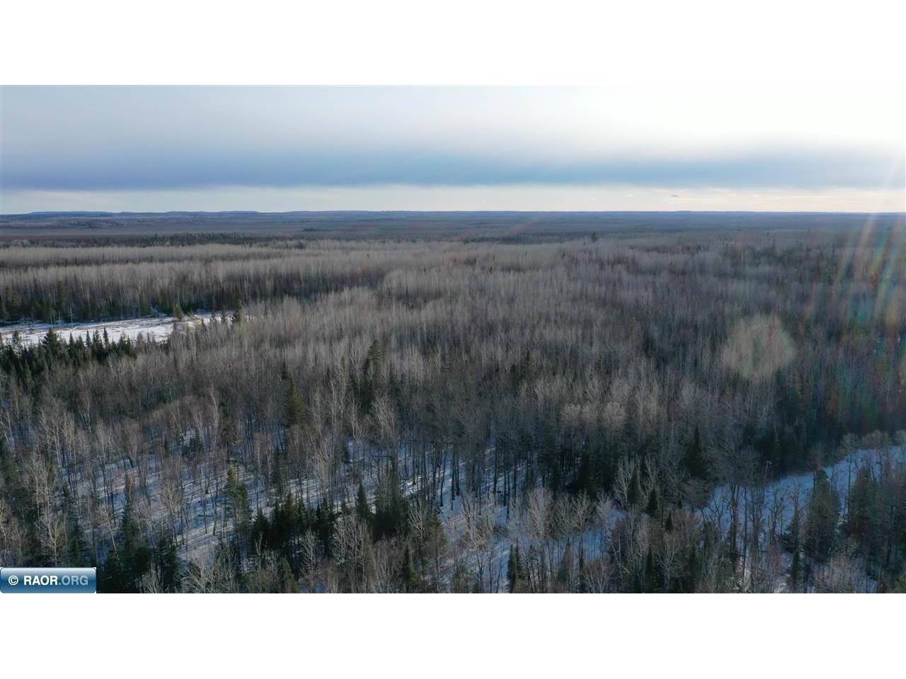 TBD Parcel S Thomas Rd. Tower MN 55790 149603 image2