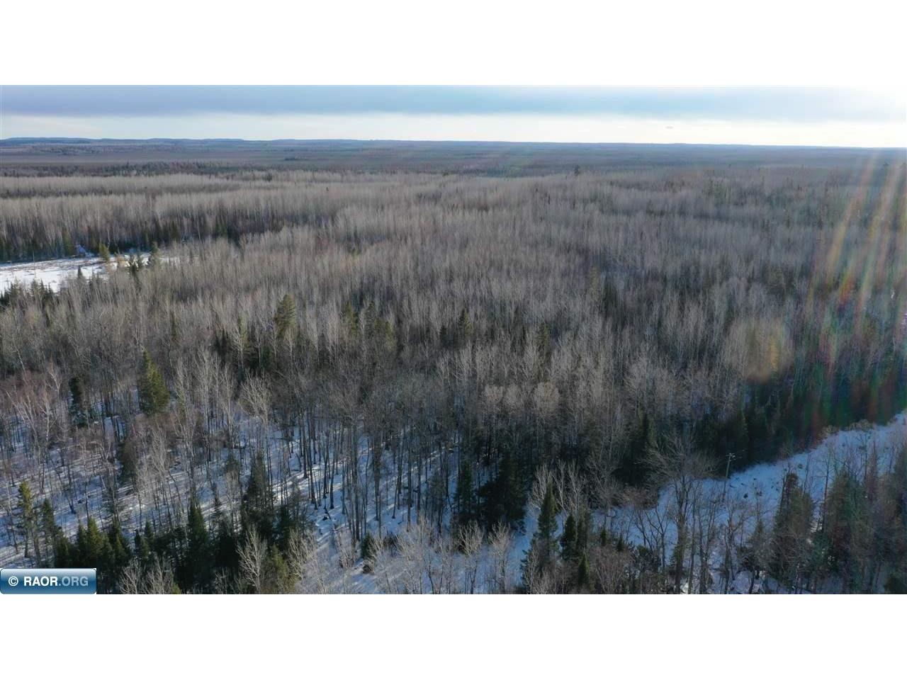 TBD Parcel S Thomas Rd. Tower MN 55790 149603 image3