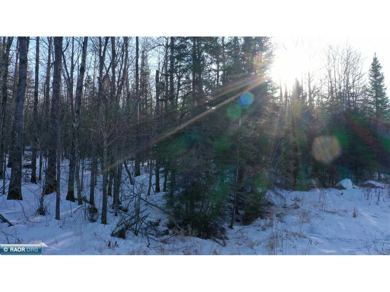 TBD Parcel S Thomas Rd. Tower MN 55790 149603 image5
