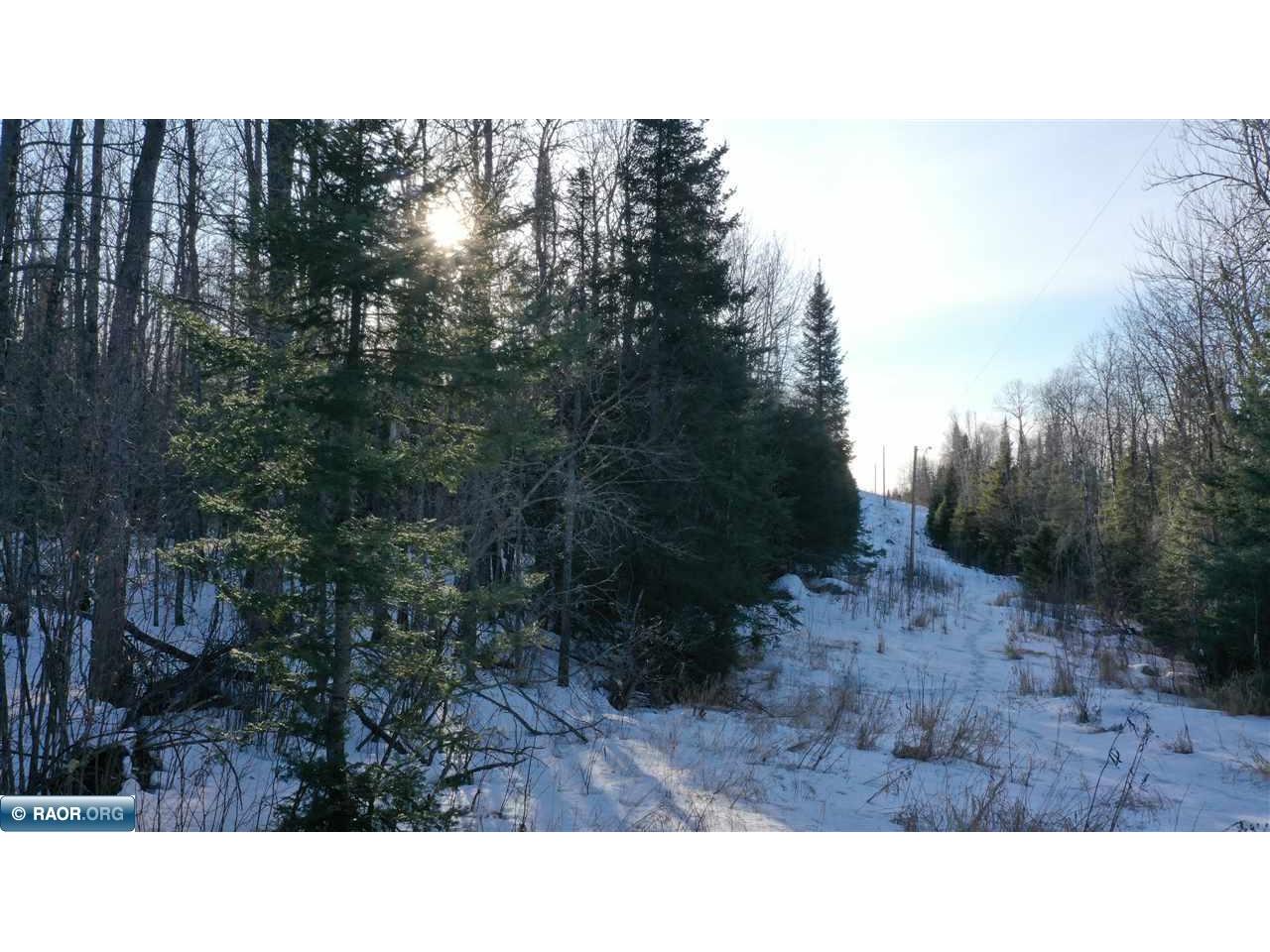 TBD Parcel S Thomas Rd. Tower MN 55790 149603 image7