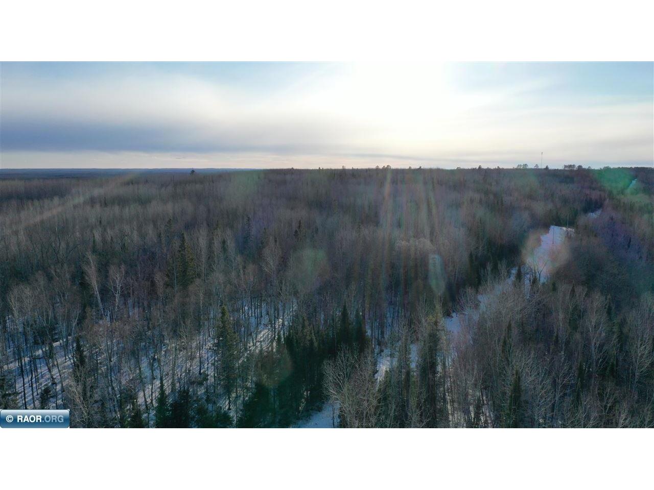 TBD Parcel S Thomas Rd. Tower MN 55790 149603 image8