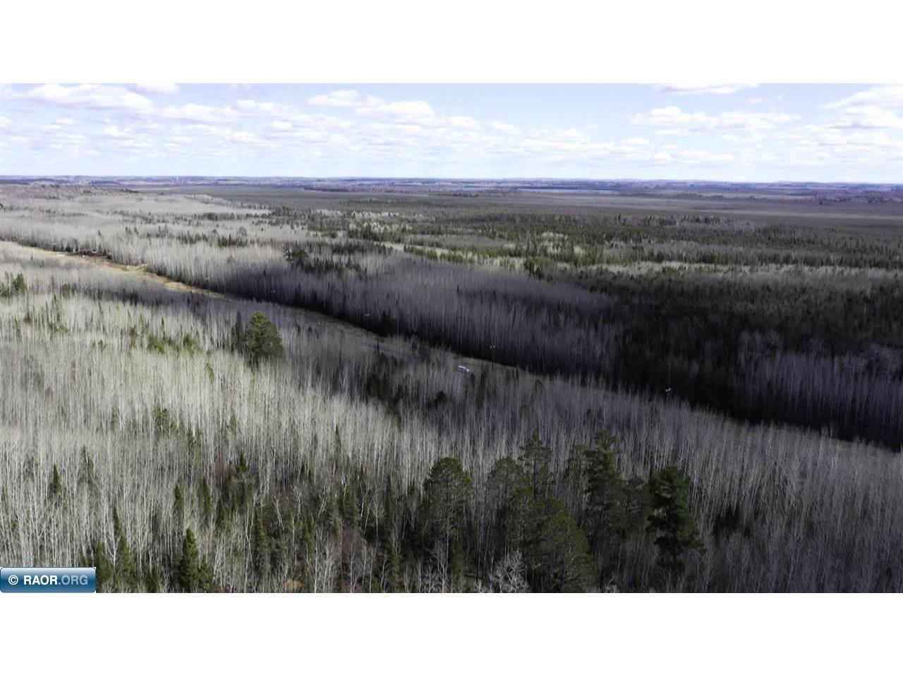 TBD Parcel W Fraser Bay Rd. Cook MN 55723 149888 image10