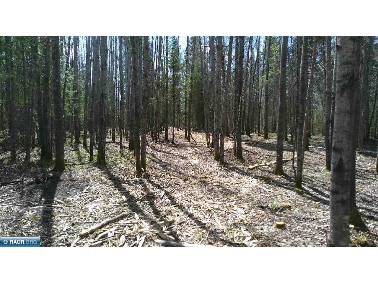TBD Parcel W Fraser Bay Rd. Cook MN 55723 149888 image5