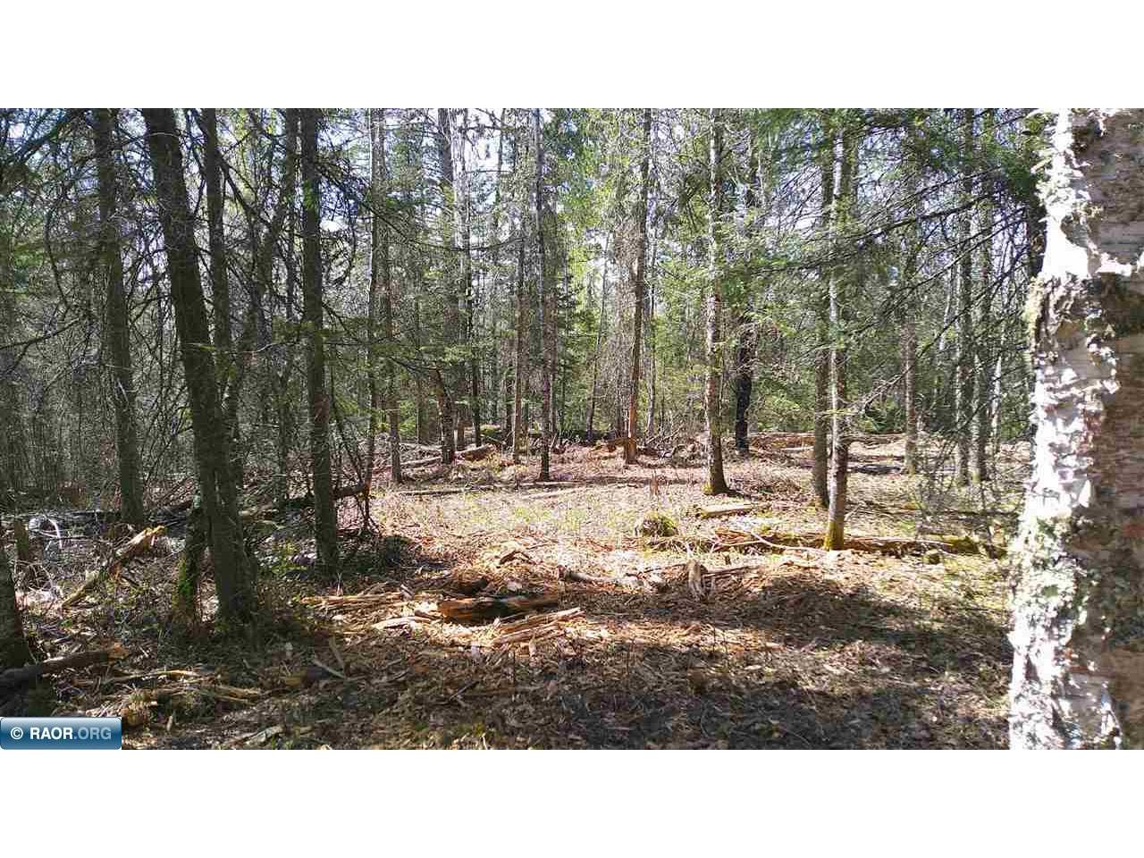TBD Parcel W Fraser Bay Rd. Cook MN 55723 149888 image6