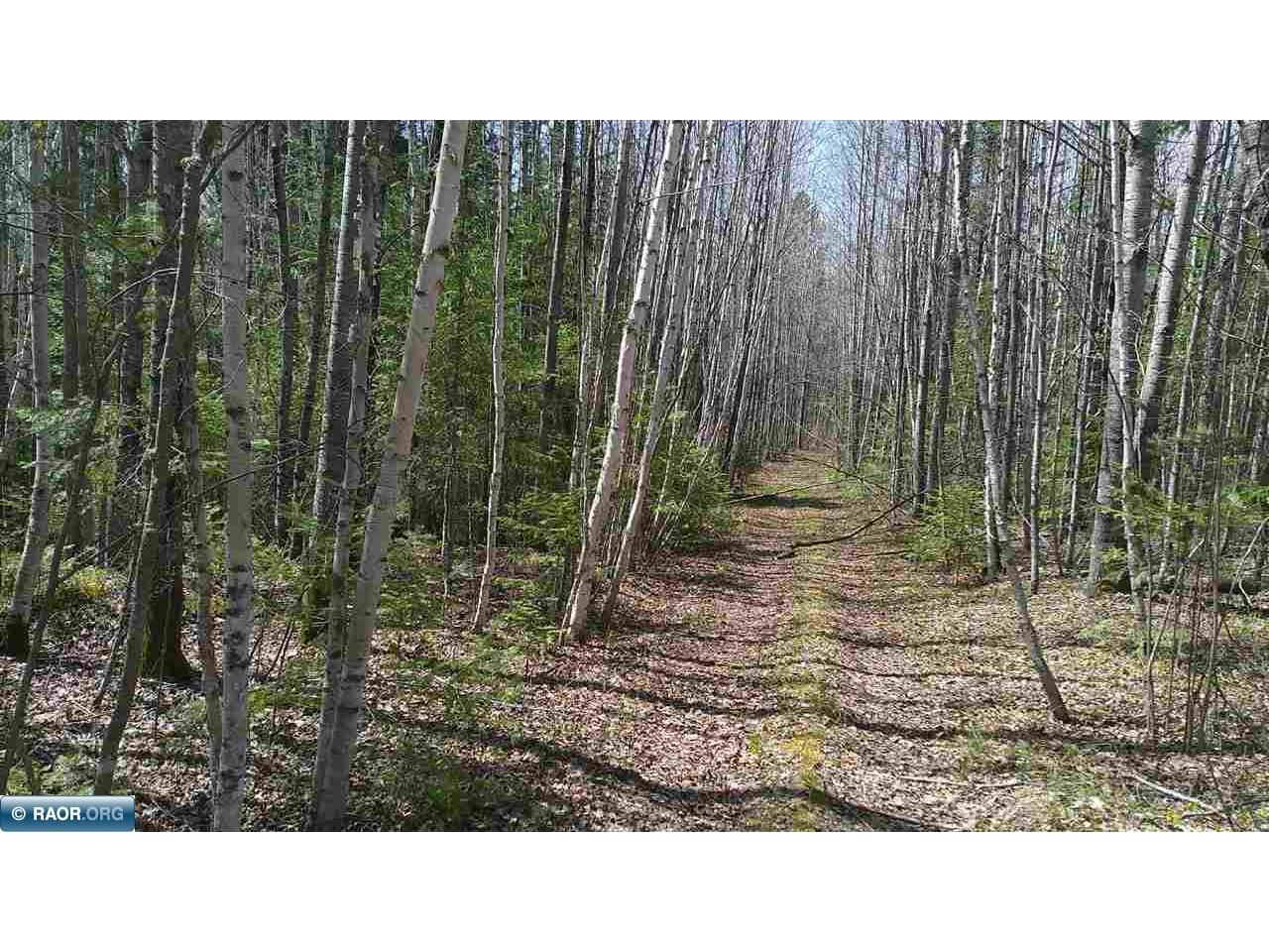 TBD Parcel Y Frazer Bay Rd. Cook MN 55723 149892 image2