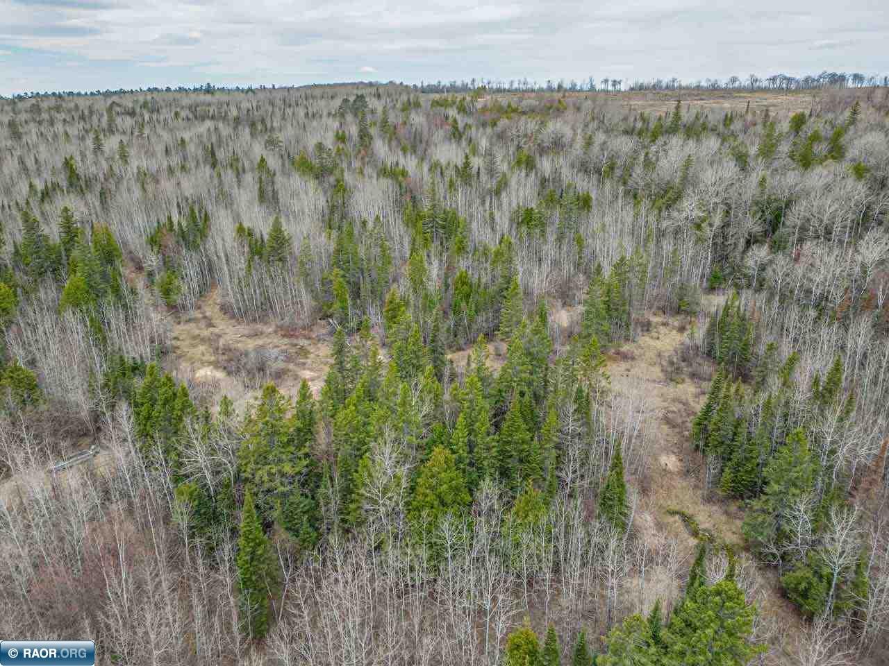 TBD Pebble Pl Giblert MN 55741 149936 image17