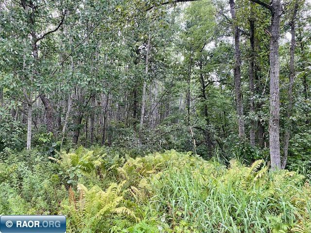 TBD River Road Grand Rapids MN 55744 - Mississippi 145516 image1