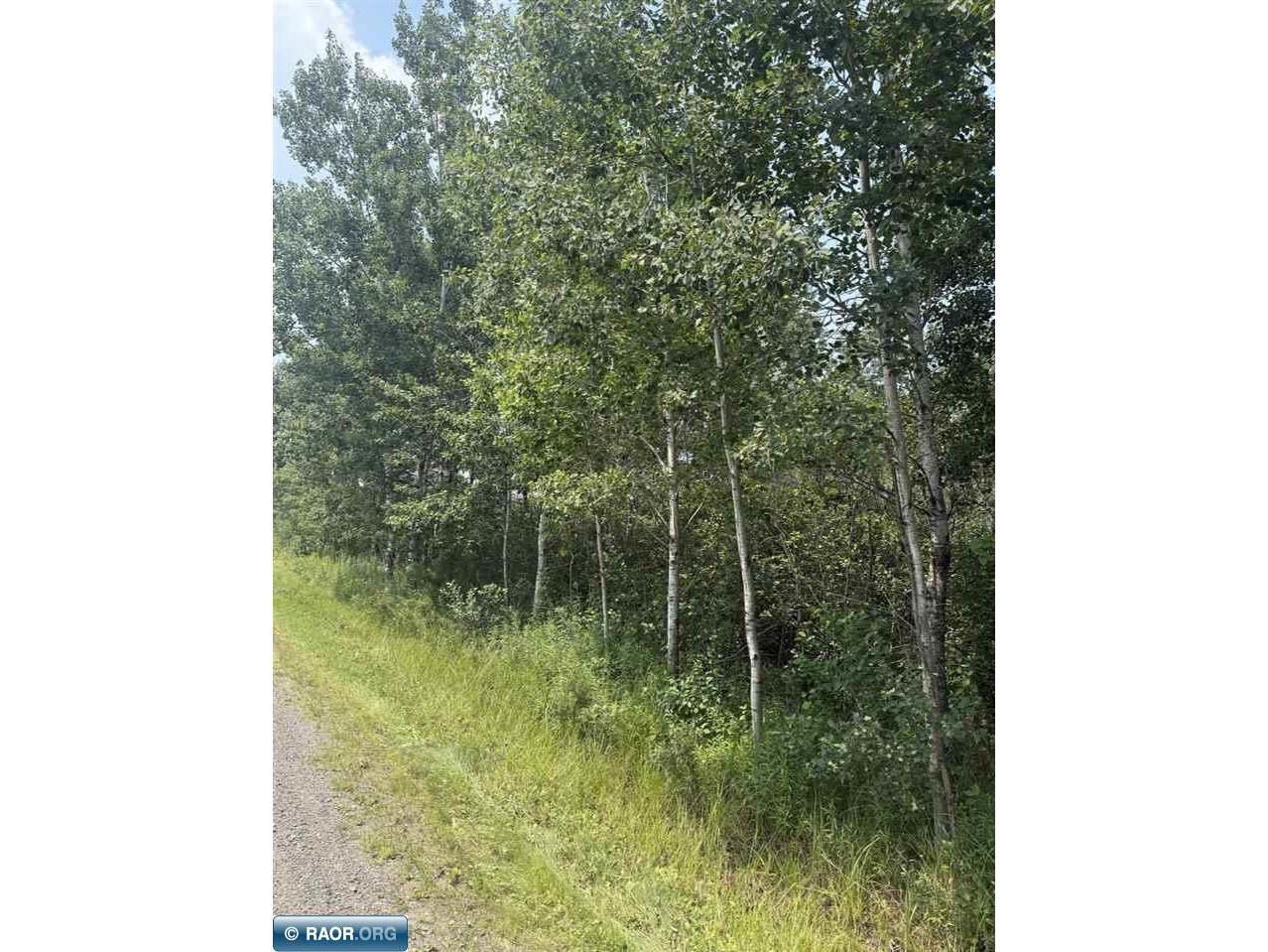TBD S PEARY DRIVE Eveleth MN 55734 148785 image1