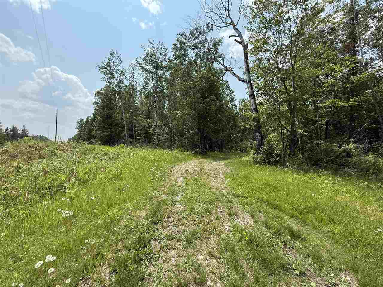 TBD Samuelson Road-Sec22 Angora MN 55703 148039 image1