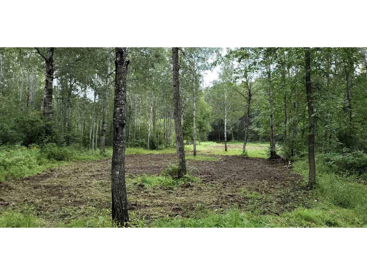 TBD Samuelson Road-Sec22 Angora MN 55703 148039 image14