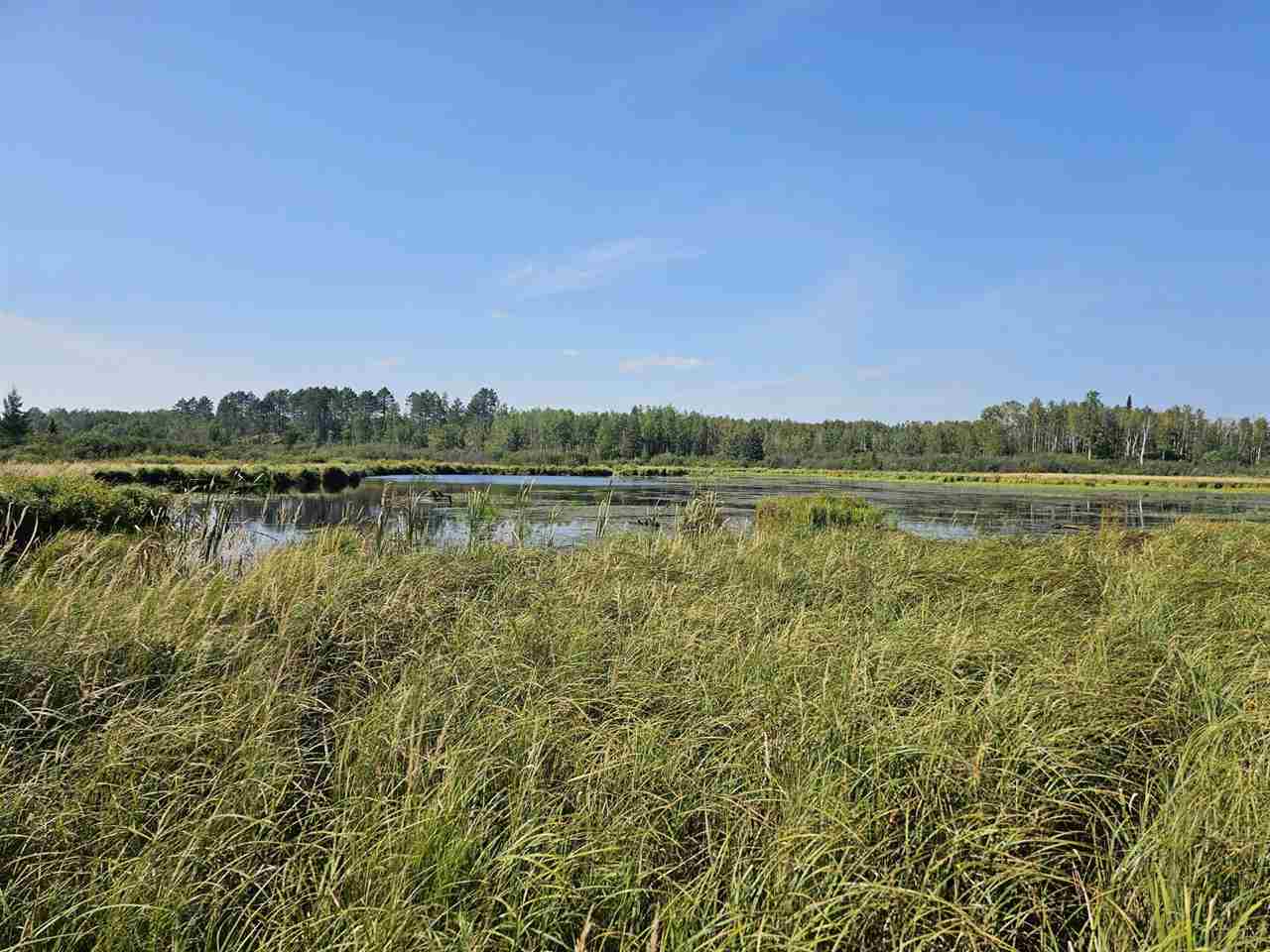 TBD Samuelson Road-Sec22 Angora MN 55703 148039 image20