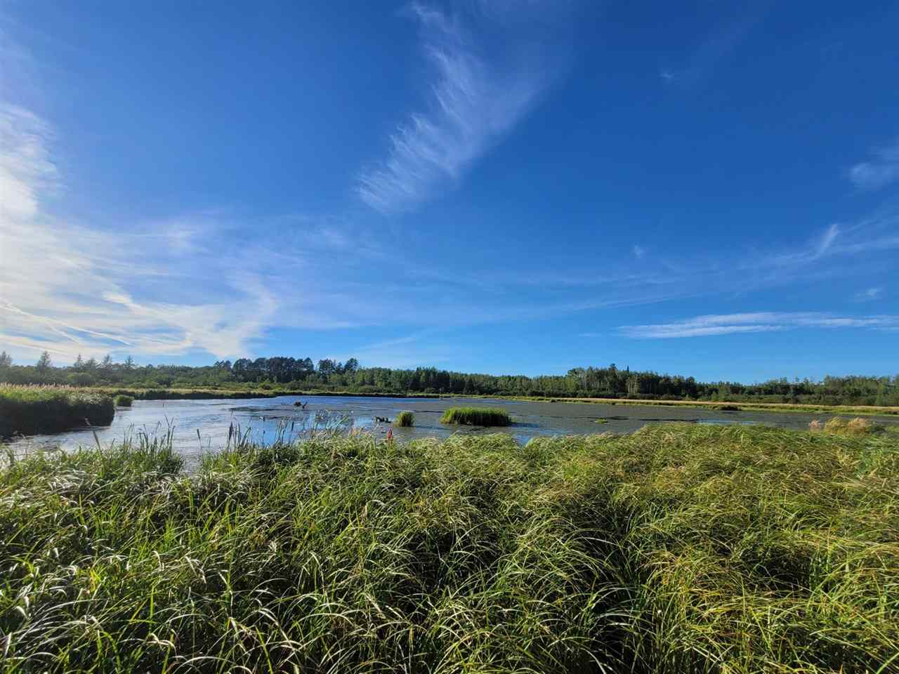 TBD Samuelson Road-Sec22 Angora MN 55703 148039 image22