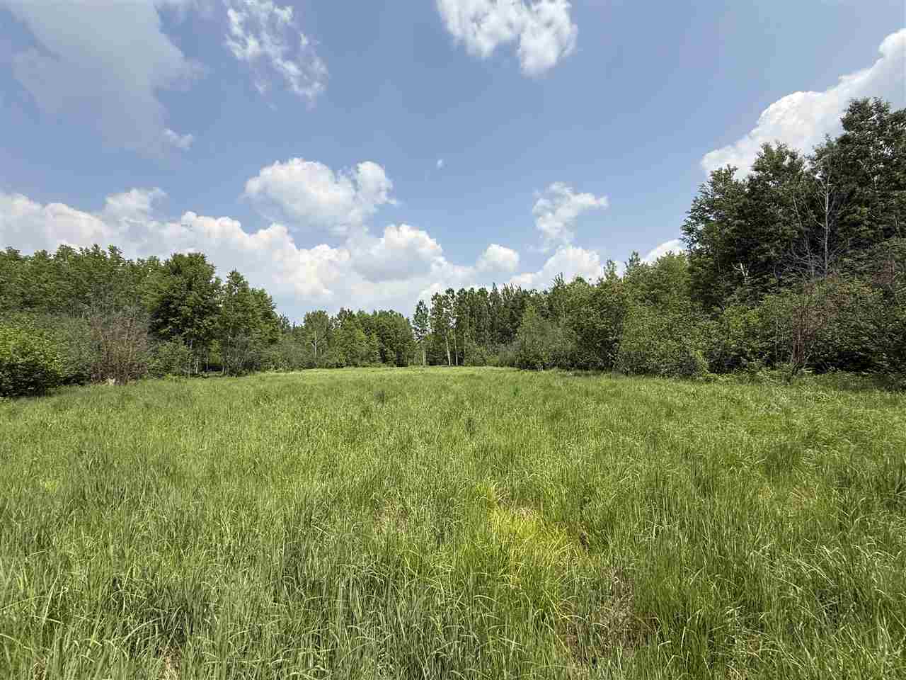 TBD Samuelson Road-Sec22 Angora MN 55703 148039 image23