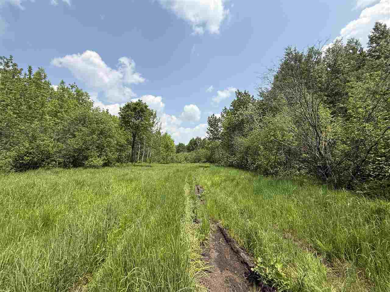 TBD Samuelson Road-Sec22 Angora MN 55703 148039 image24