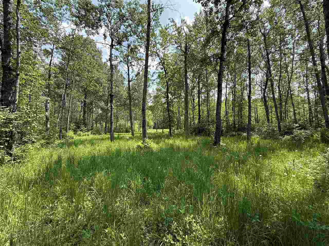 TBD Samuelson Road-Sec22 Angora MN 55703 148039 image25