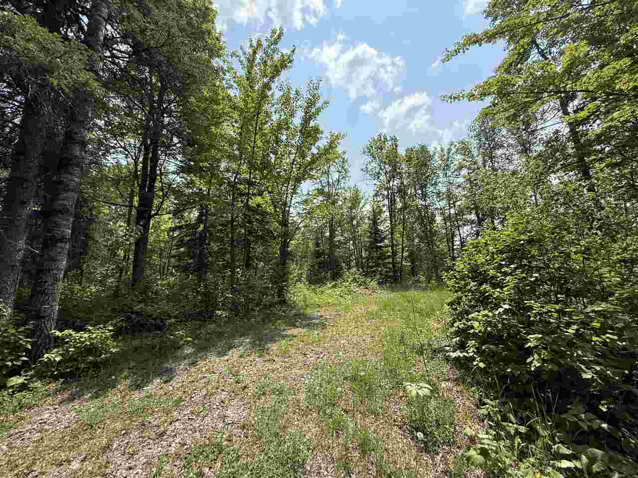 TBD Samuelson Road-Sec22 Angora MN 55703 148039 image27