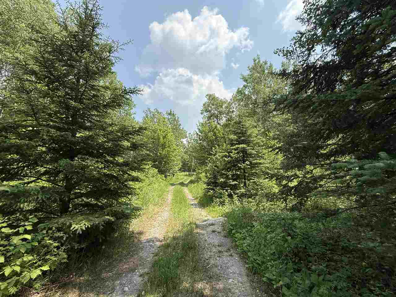 TBD Samuelson Road-Sec22 Angora MN 55703 148039 image28