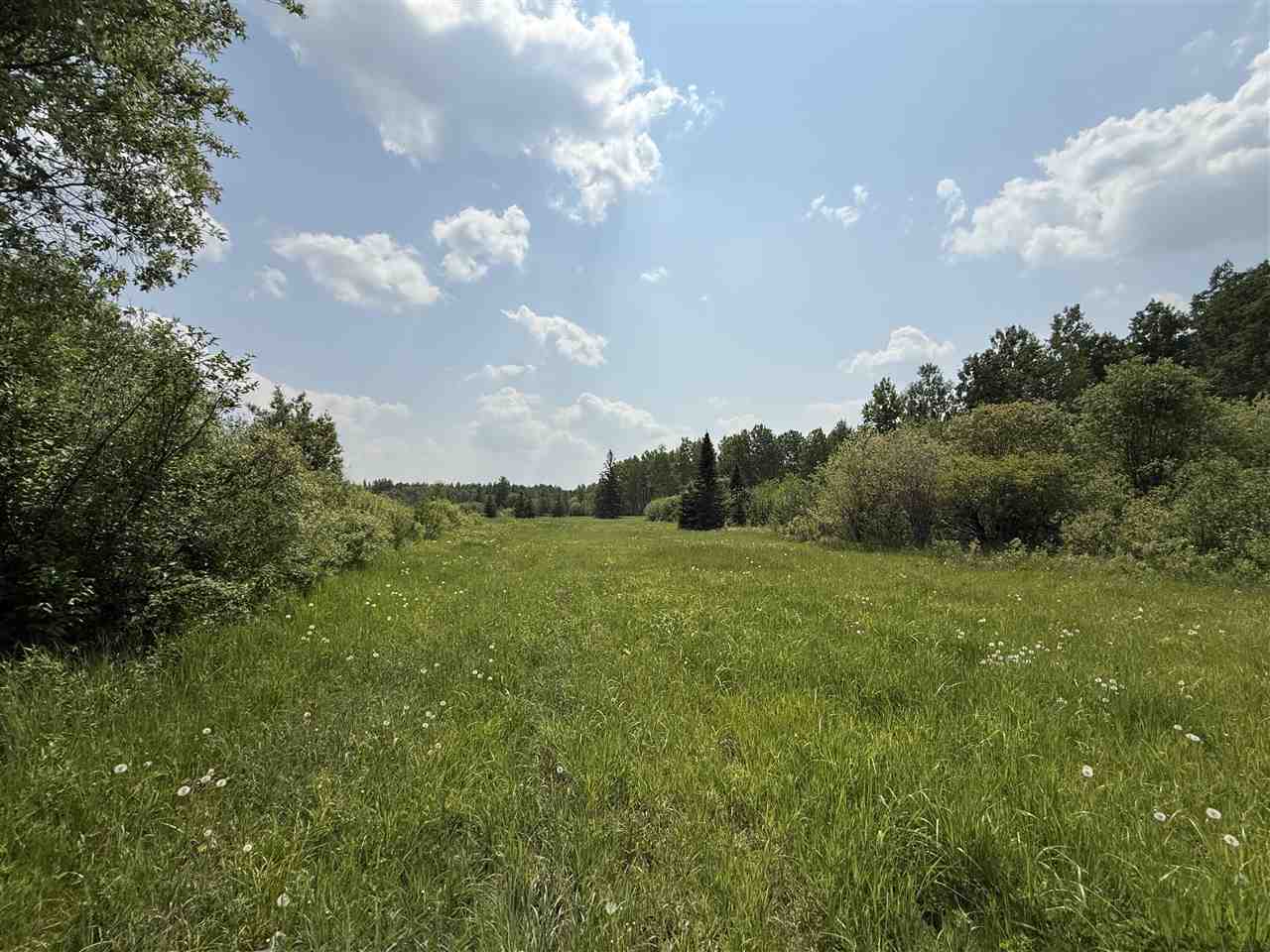 TBD Samuelson Road-Sec22 Angora MN 55703 148039 image29