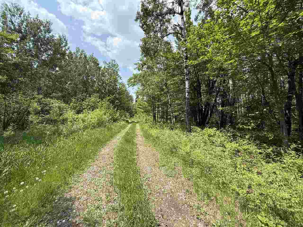 TBD Samuelson Road-Sec22 Angora MN 55703 148039 image3