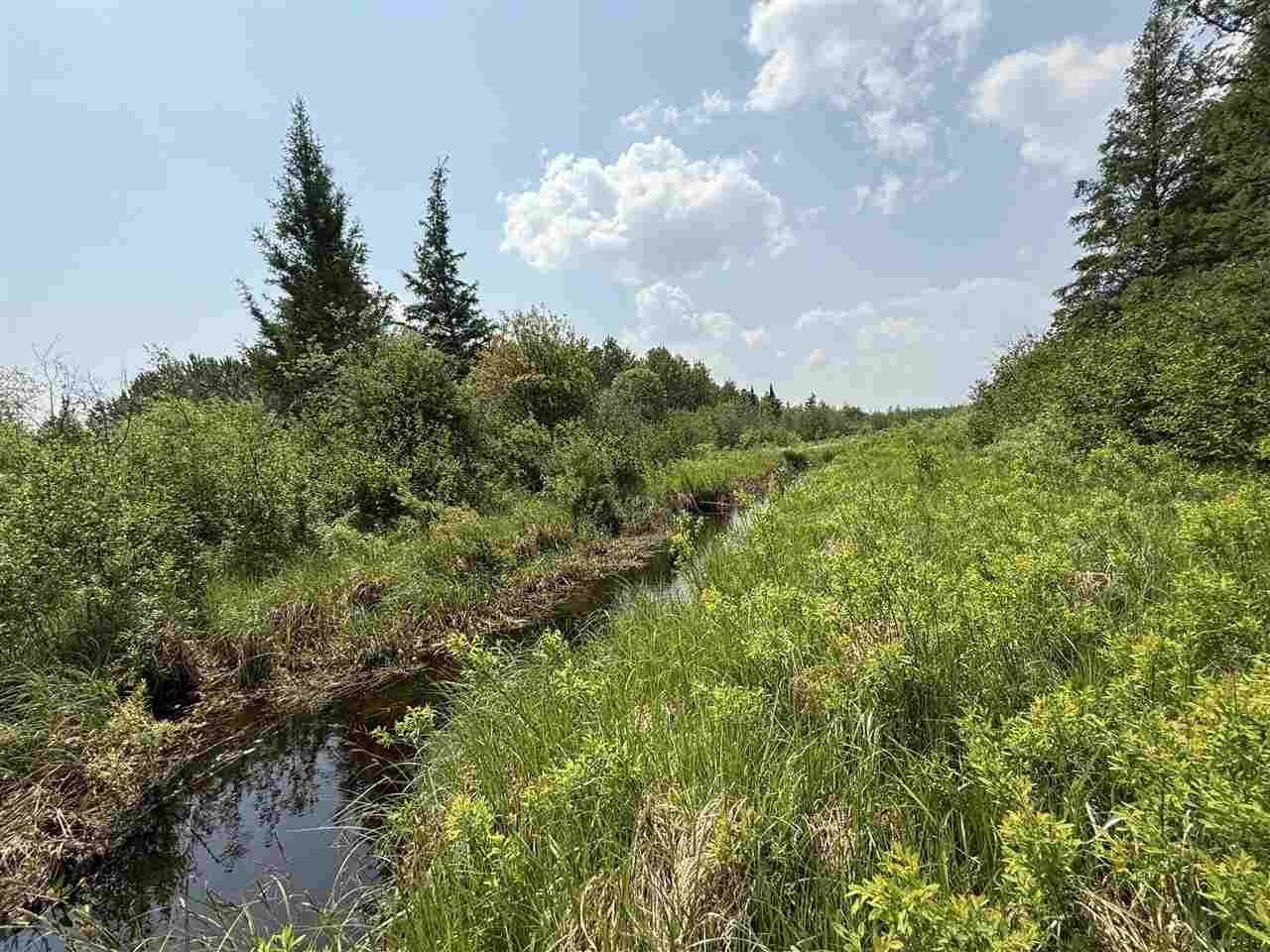 TBD Samuelson Road-Sec22 Angora MN 55703 148039 image37