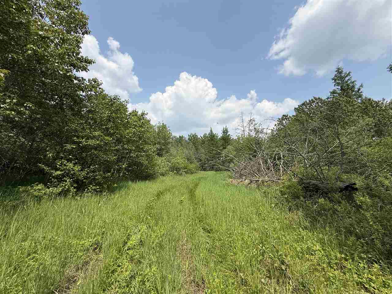 TBD Samuelson Road-Sec22 Angora MN 55703 148039 image38