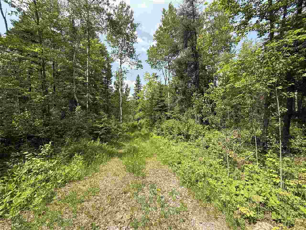 TBD Samuelson Road-Sec22 Angora MN 55703 148039 image4