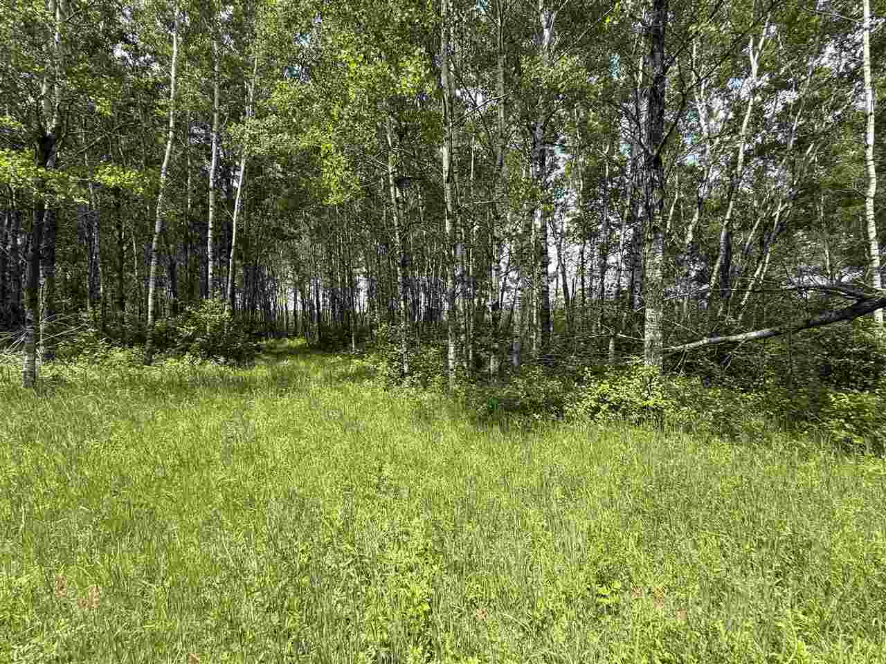 TBD Samuelson Road-Sec22 Angora MN 55703 148039 image41
