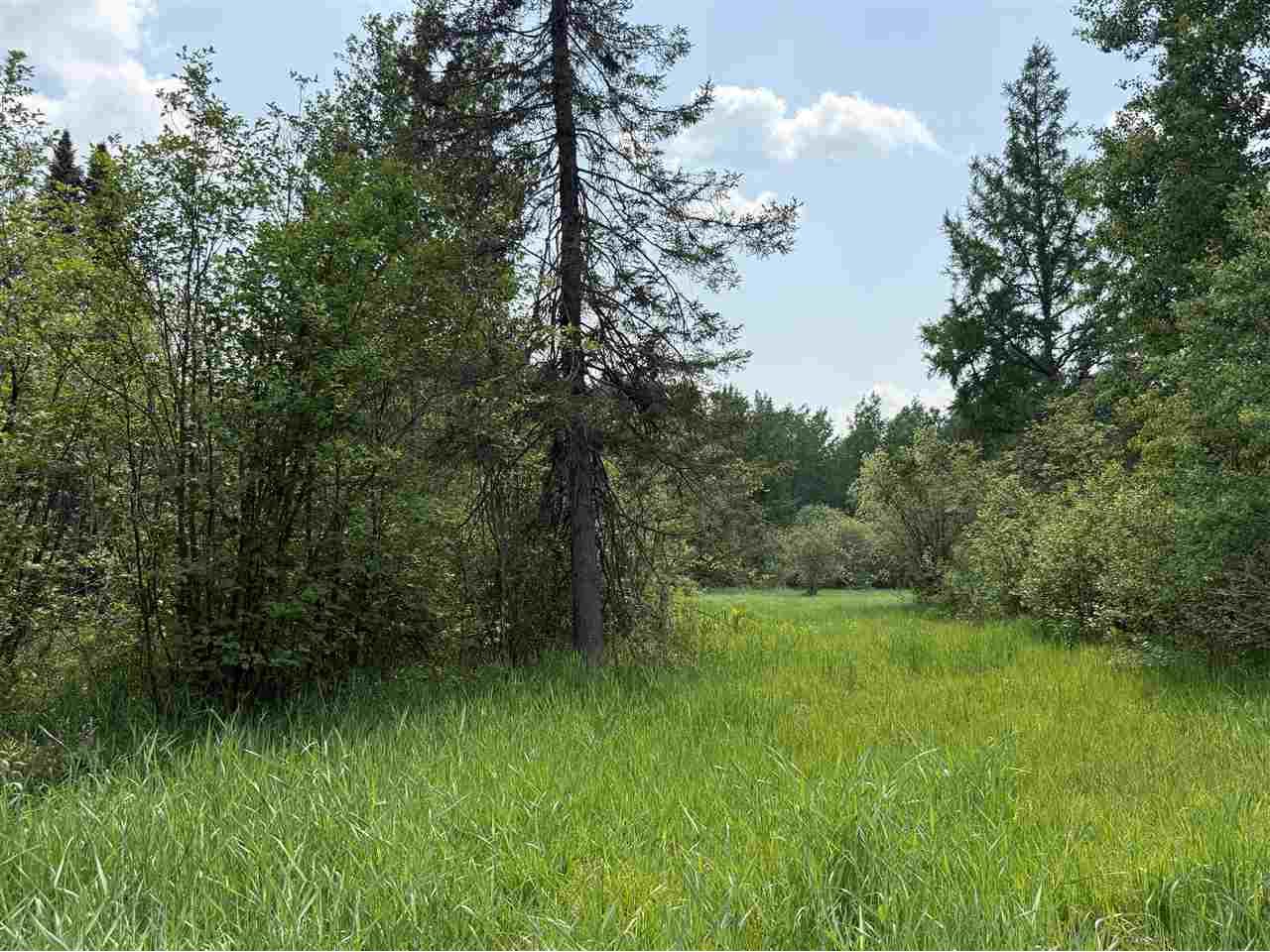 TBD Samuelson Road-Sec22 Angora MN 55703 148039 image43