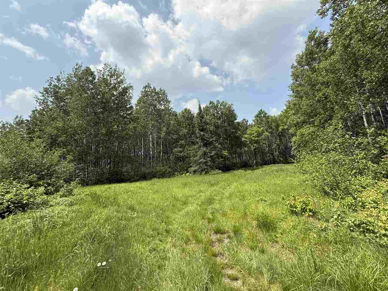 TBD Samuelson Road-Sec22 Angora MN 55703 148039 image5