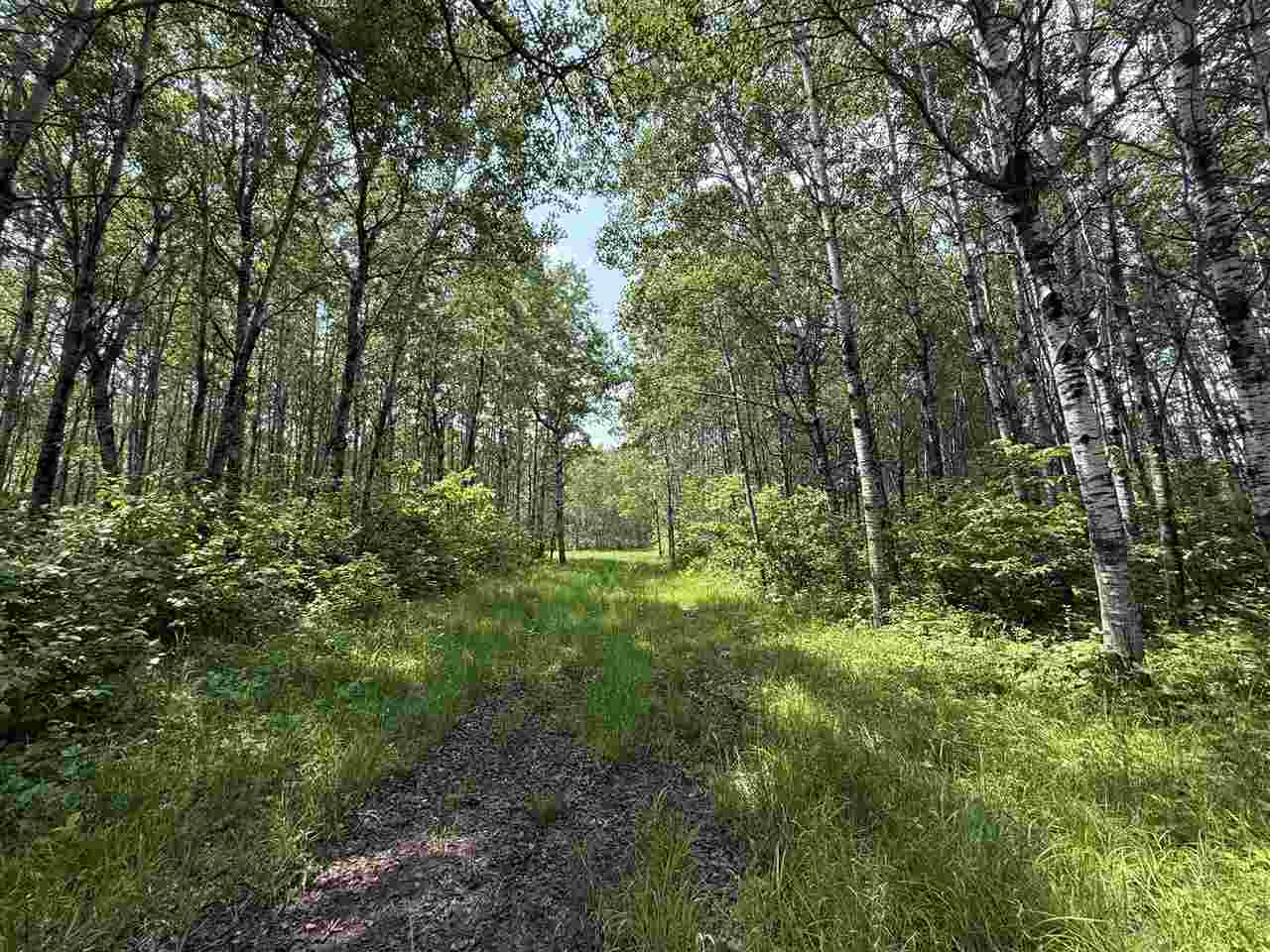 TBD Samuelson Road-Sec22 Angora MN 55703 148039 image6