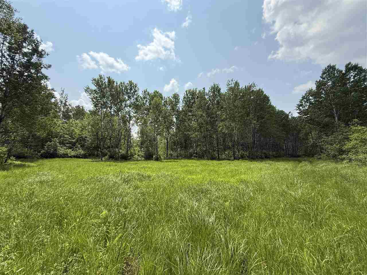TBD Samuelson Road-Sec22 Angora MN 55703 148039 image7