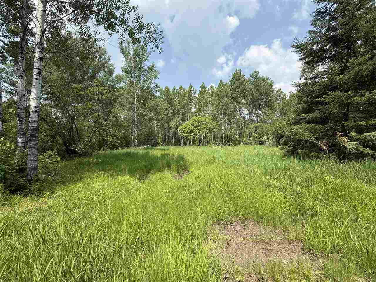 TBD Samuelson Road-Sec22 Angora MN 55703 148039 image8