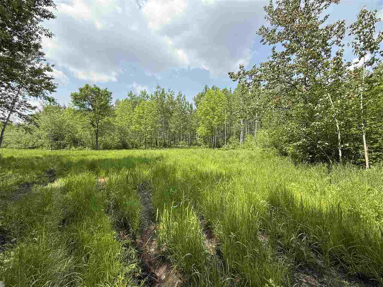 TBD Samuelson Road-Sec22 Angora MN 55703 148039 image9